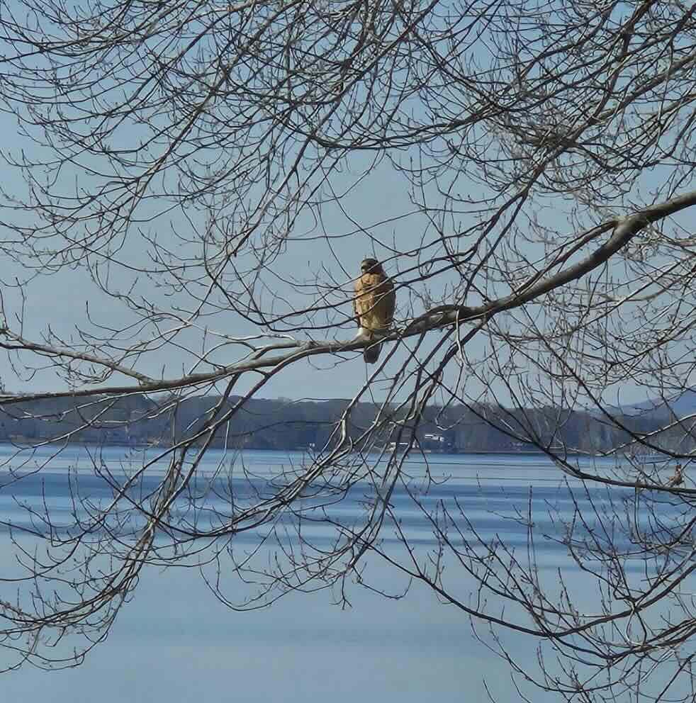 Watching over us